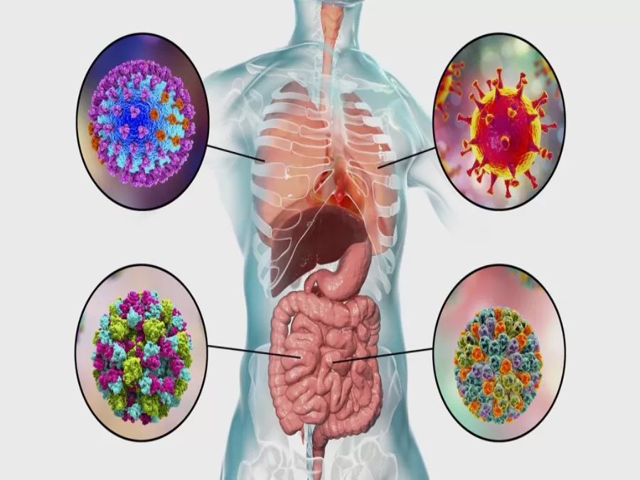 مدار الساعة,أخبار خفيفة ومنوعة,كورونا