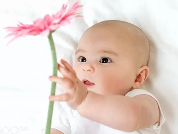 مدار الساعة,أخبار المجتمع الأردني