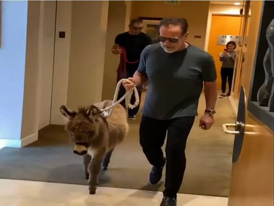 مدار الساعة,أخبار خفيفة ومنوعة