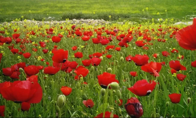 مدار الساعة,الطقس في الأردن اليوم,طقس الأردن,طقس العرب,طقس العرب الاردن