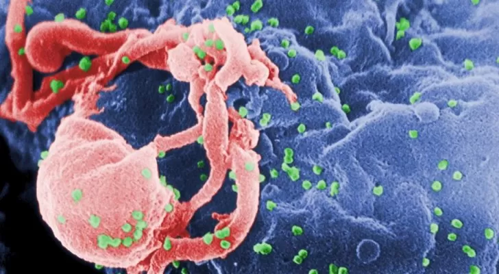 مدار الساعة,أخبار خفيفة ومنوعة