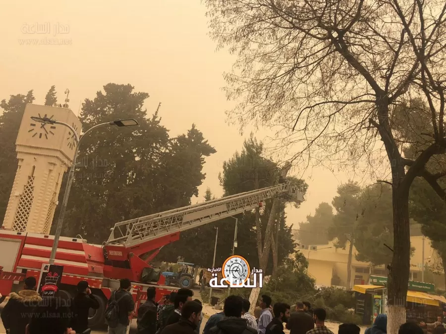 مدار الساعة,أخبار الأردن,اخبار الاردن,الجامعة الأردنية