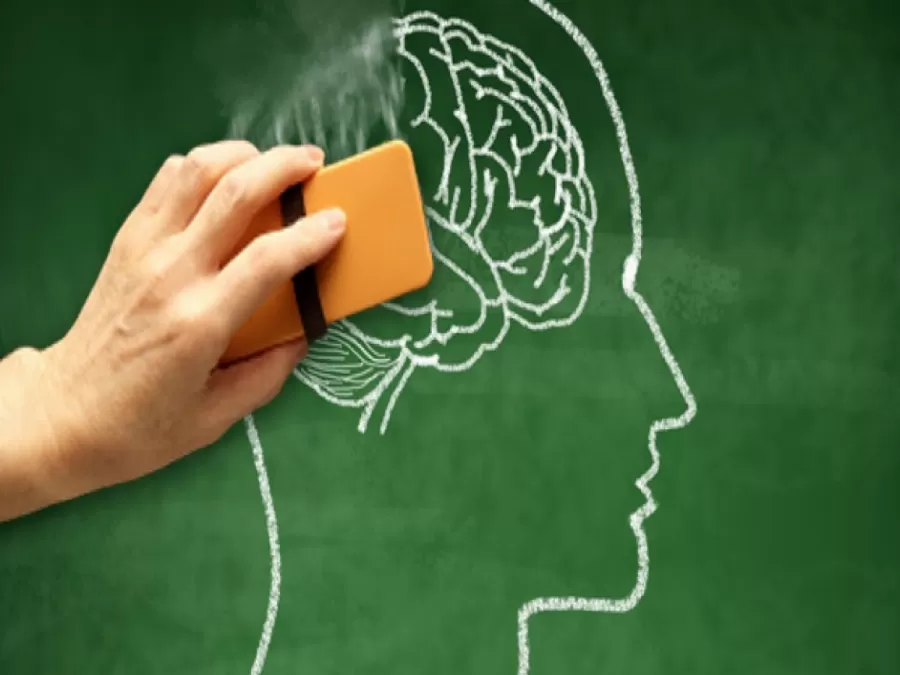 مدار الساعة,أخبار الأسرة