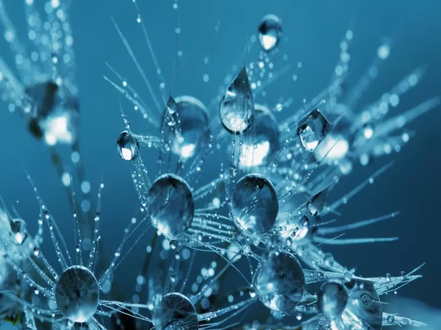 مدار الساعة,أخبار خفيفة ومنوعة,كورونا,وزارة الصحة,منظمة الصحة العالمية,درجات الحرارة