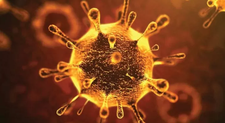 مدار الساعة,أخبار خفيفة ومنوعة,كورونا,وزارة الصحة,منظمة الصحة العالمية