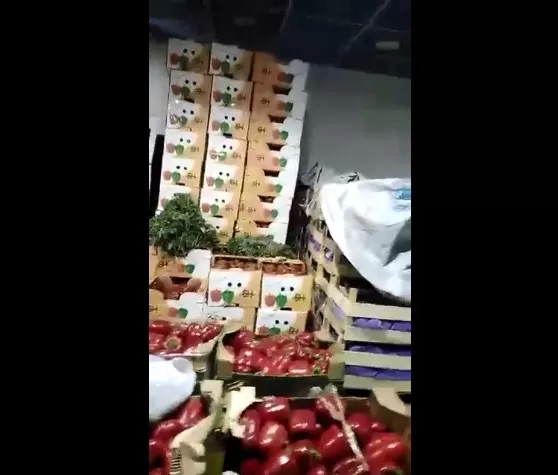 مدار الساعة,Video,فيديو,أخبار الأردن,اخبار الاردن