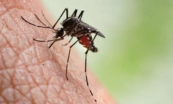 مدار الساعة,أخبار خفيفة ومنوعة,كورونا,كوفيد 19,منظمة الصحة العالمية,درجات الحرارة