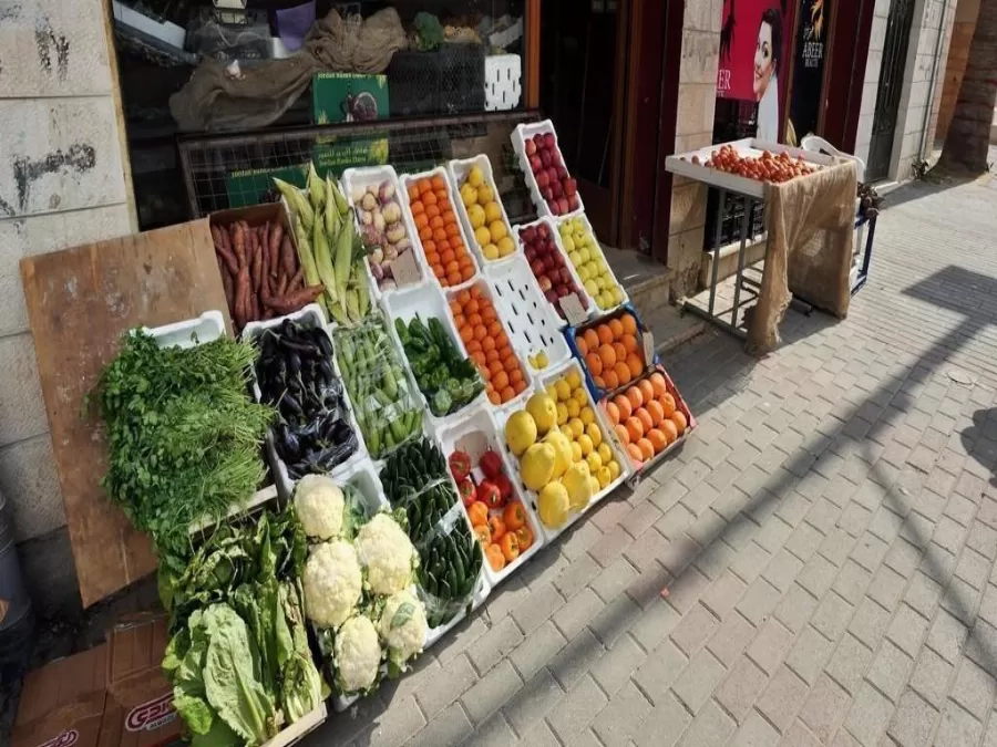 مدار الساعة,أخبار اقتصادية,رئيس الوزراء,كورونا,وزارة الزراعة