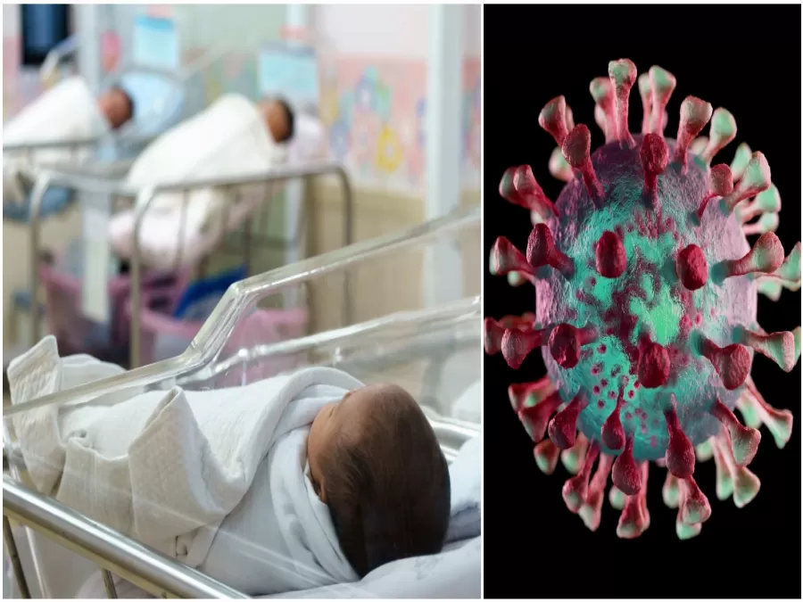 مدار الساعة,أخبار عربية ودولية,كورونا