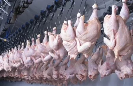 مدار الساعة,أخبار اقتصادية,أمانة عمان