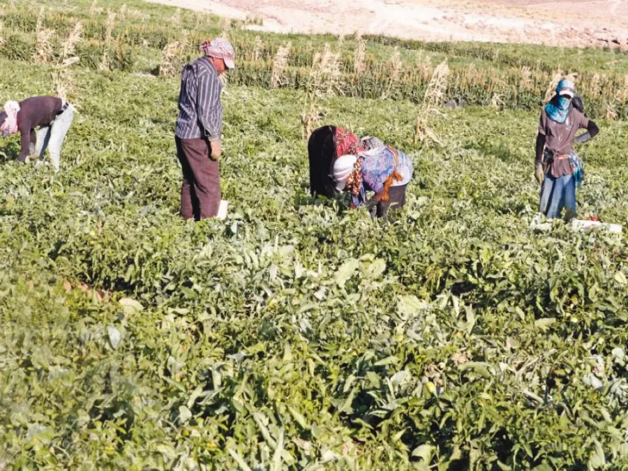 مدار الساعة,أخبار اقتصادية