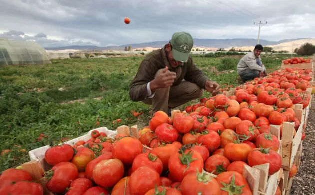 مدار الساعة,أخبار الأردن,اخبار الاردن,كورونا