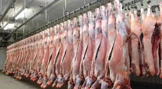 مدار الساعة,أخبار اقتصادية