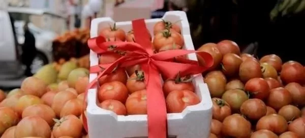 مدار الساعة,أخبار الأردن,اخبار الاردن,الجيش العربي