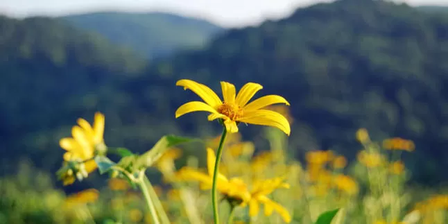 مدار الساعة,الطقس في الأردن اليوم,طقس الأردن,طقس العرب,طقس العرب الاردن,درجات الحرارة العظمى والصغرى,درجات الحرارة,البحر الميت