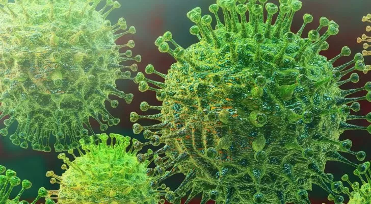 مدار الساعة,أخبار خفيفة ومنوعة,كورونا,كوفيد 19,الاتحاد الأوروبي,وزارة الصحة,منظمة الصحة العالمية,درجات الحرارة