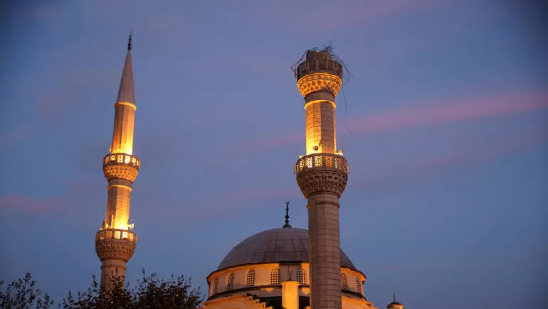 مدار الساعة,مقالات مختارة,كورونا