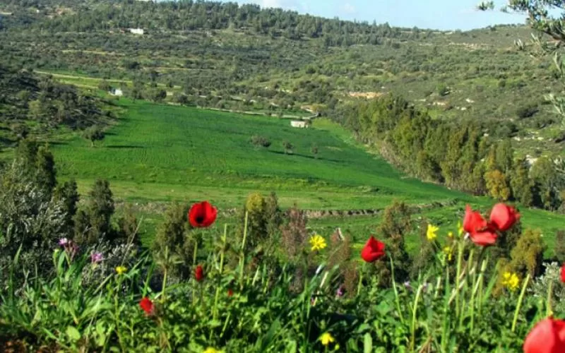 مدار الساعة,الطقس في الأردن اليوم,طقس الأردن,طقس العرب,طقس العرب الاردن,درجات الحرارة العظمى والصغرى,درجات الحرارة,الأرصاد الجوية,البحر الميت