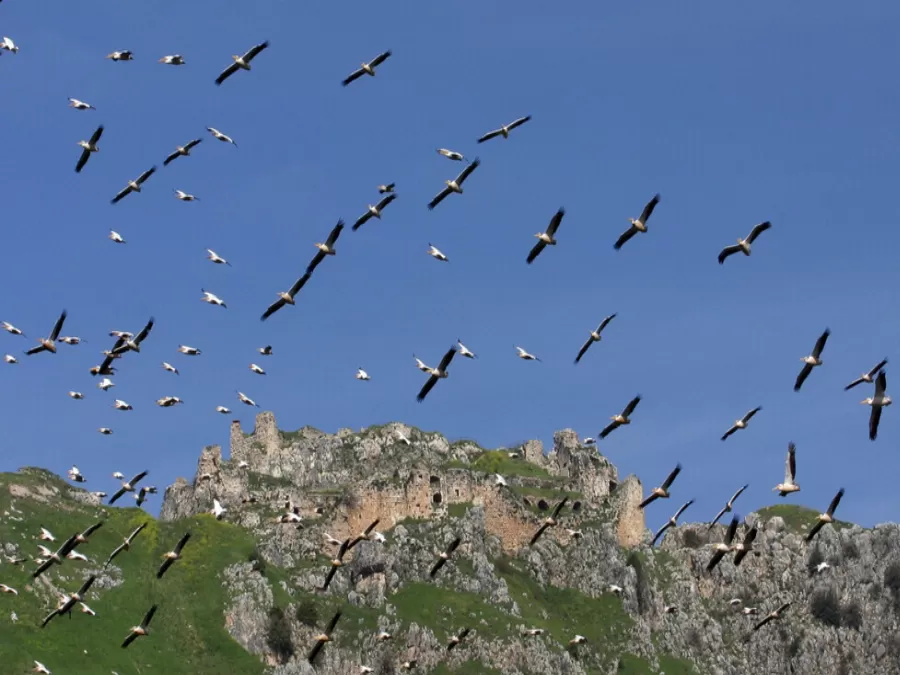 مدار الساعة,أخبار خفيفة ومنوعة