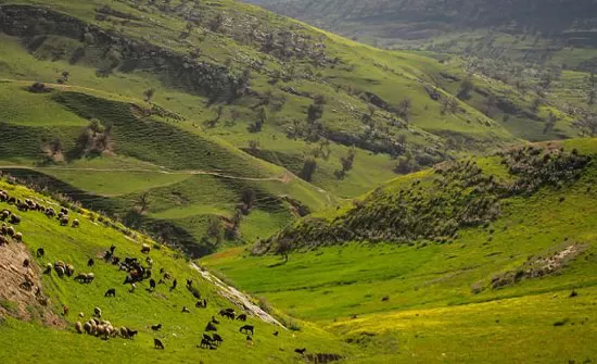 مدار الساعة,الطقس في الأردن اليوم,طقس الأردن,طقس العرب,طقس العرب الاردن,درجات الحرارة العظمى والصغرى,درجات الحرارة,الأرصاد الجوية,البحر الميت