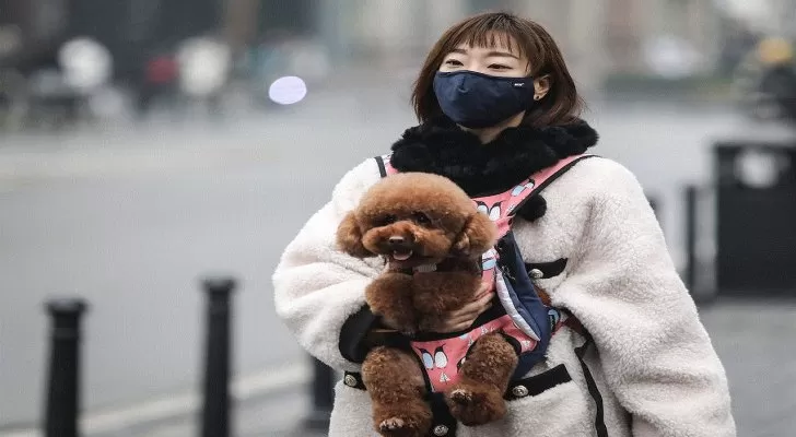 مدار الساعة,أخبار خفيفة ومنوعة,كورونا