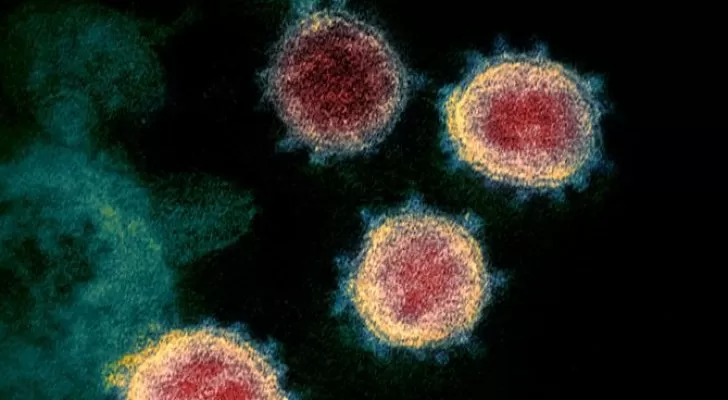 مدار الساعة,أخبار خفيفة ومنوعة,كورونا,منظمة الصحة العالمية