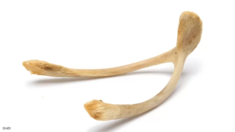 مدار الساعة,أخبار خفيفة ومنوعة