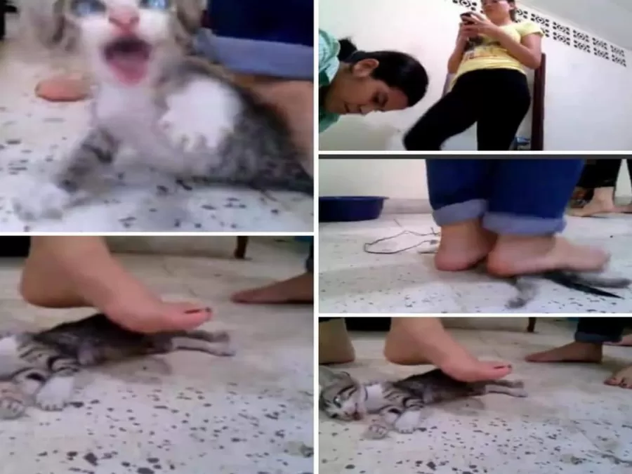 مدار الساعة,أخبار خفيفة ومنوعة,مواقع التواصل الاجتماعي