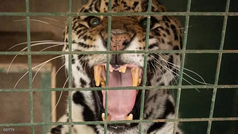 مدار الساعة,أخبار عربية ودولية