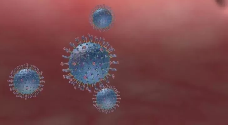 مدار الساعة,أخبار خفيفة ومنوعة,كورونا,منظمة الصحة العالمية