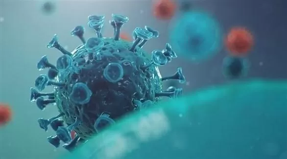 مدار الساعة,أخبار خفيفة ومنوعة,كورونا,منظمة الصحة العالمية