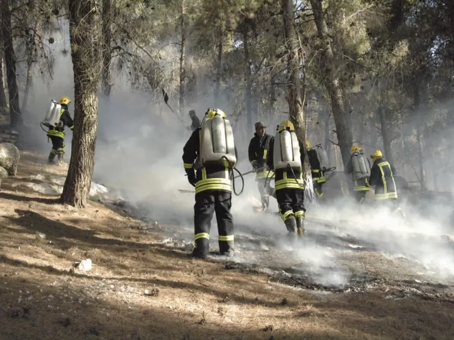 مدار الساعة,أخبار الأردن,اخبار الاردن,مديرية الأمن العام,الأمن العام,الدفاع المدني