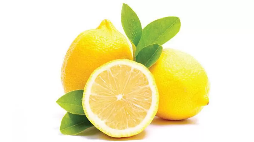 مدار الساعة,أخبار الأسرة