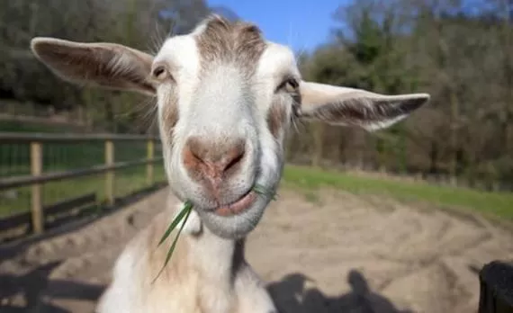 مدار الساعة,أخبار خفيفة ومنوعة