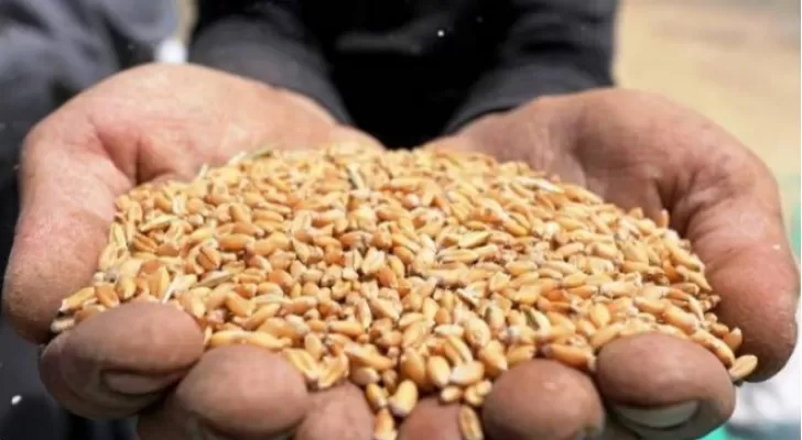 مدار الساعة,أخبار اقتصادية,وزير البيئة,وزير الزراعة,صالح الخرابشة,وزارة الصناعة والتجارة,وزارة الزراعة,وزارة المالية,وزارة الصناعة,ديوان المحاسبة