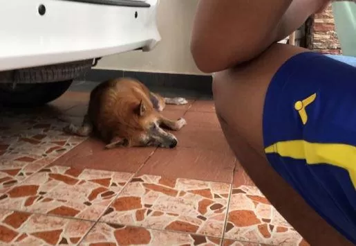 مدار الساعة,أخبار خفيفة ومنوعة,مواقع التواصل الاجتماعي