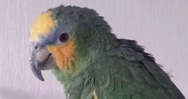 مدار الساعة,أخبار خفيفة ومنوعة