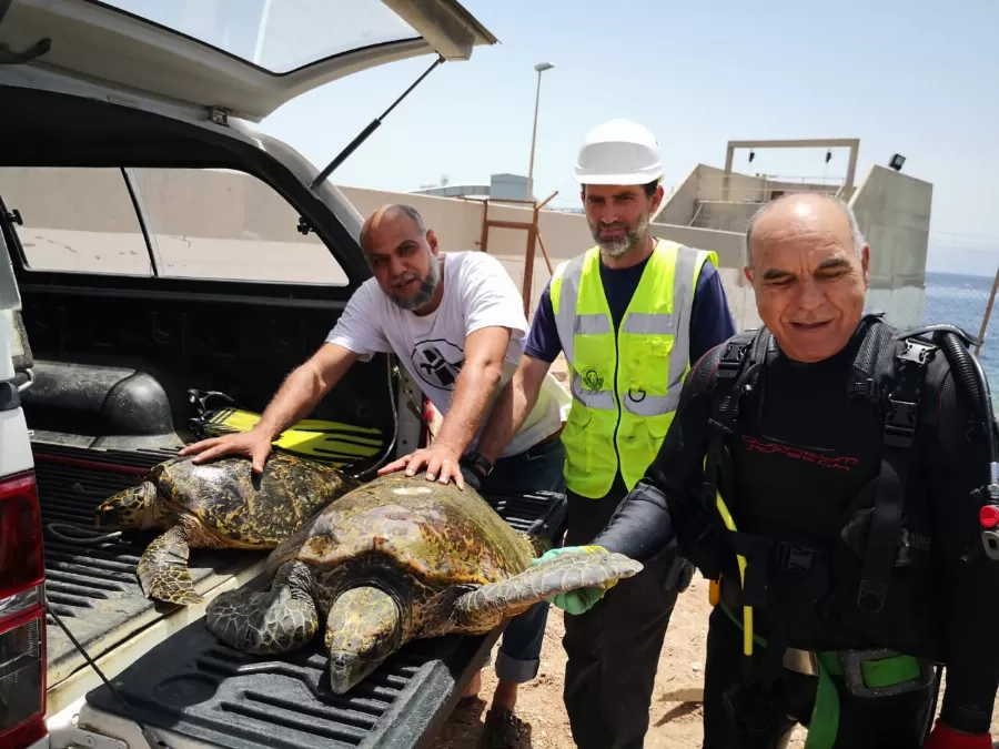 مدار الساعة,أخبار الأردن,اخبار الاردن