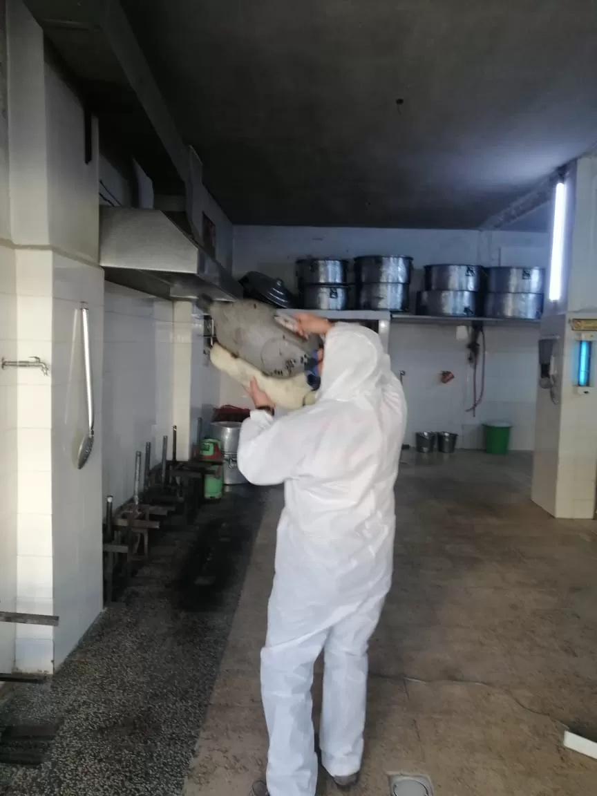 مدار الساعة,مناسبات أردنية