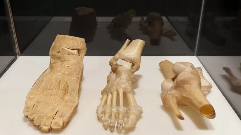 مدار الساعة,أخبار خفيفة ومنوعة