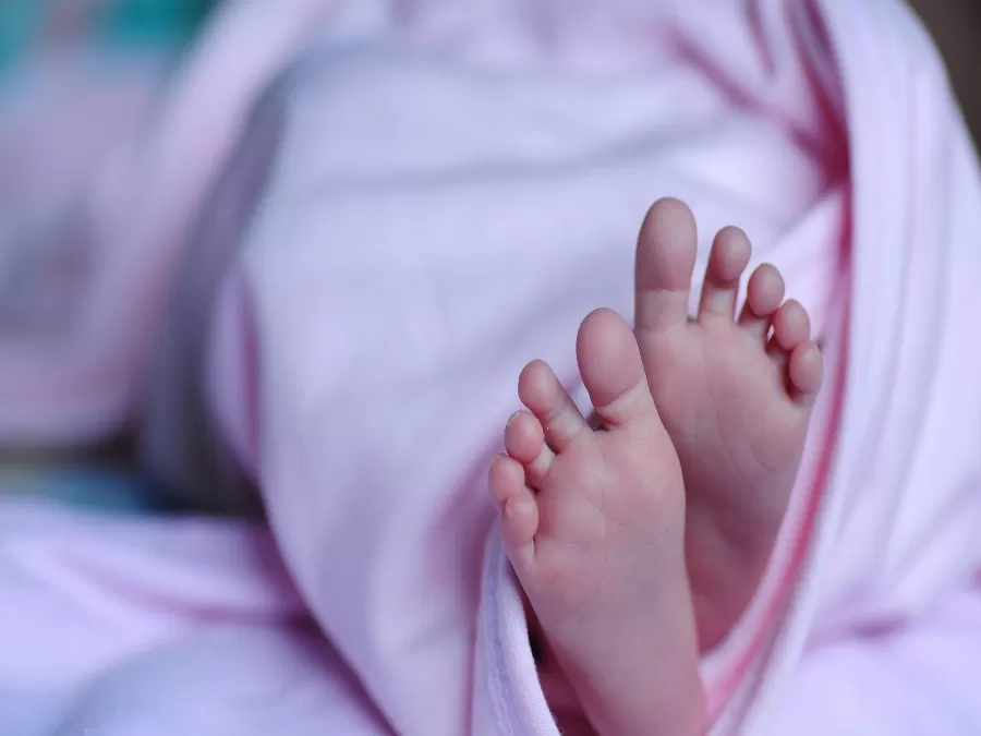 مدار الساعة,أخبار الأردن,اخبار الاردن,البحث الجنائي