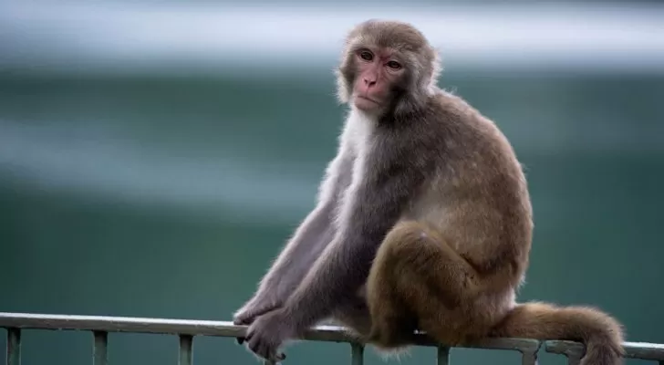 مدار الساعة,أخبار خفيفة ومنوعة