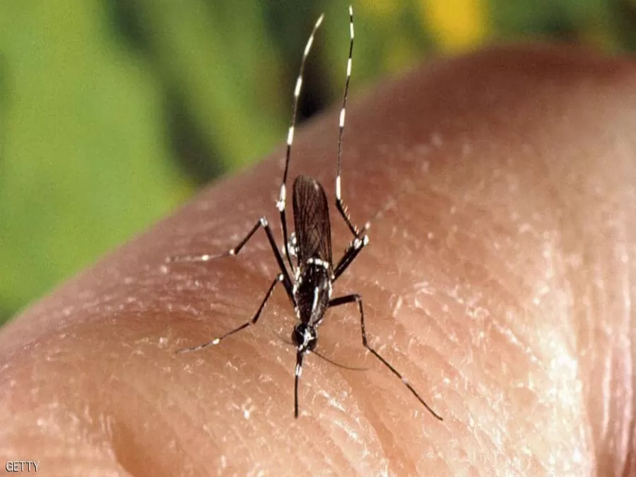 مدار الساعة,أخبار عربية ودولية,كورونا,كوفيد 19,منظمة الصحة العالمية