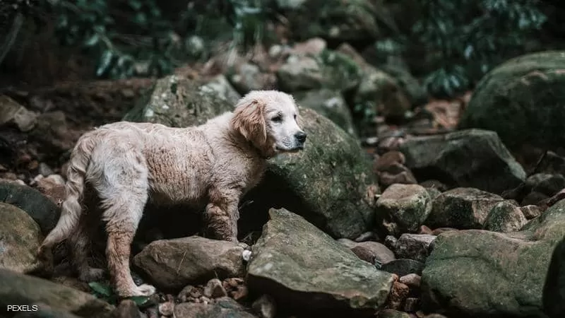 مدار الساعة,أخبار خفيفة ومنوعة