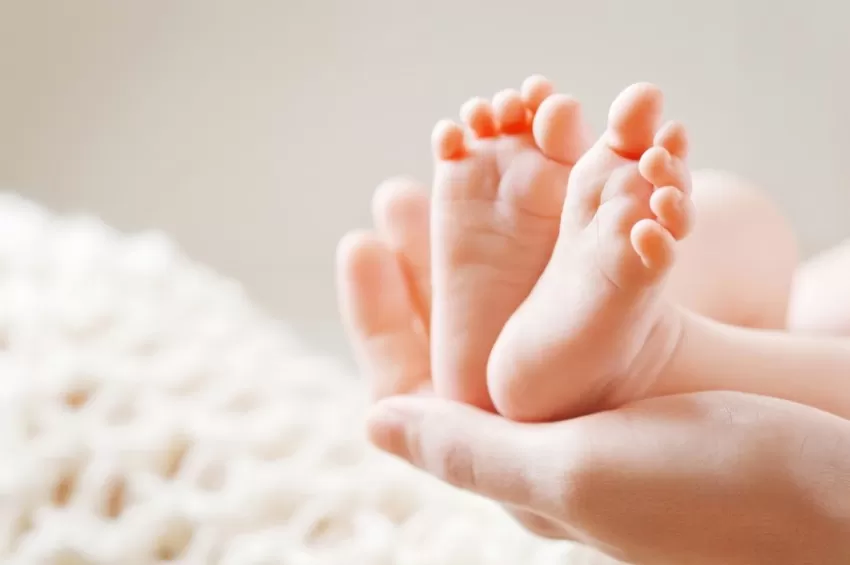 مدار الساعة,أخبار الأردن,اخبار الاردن