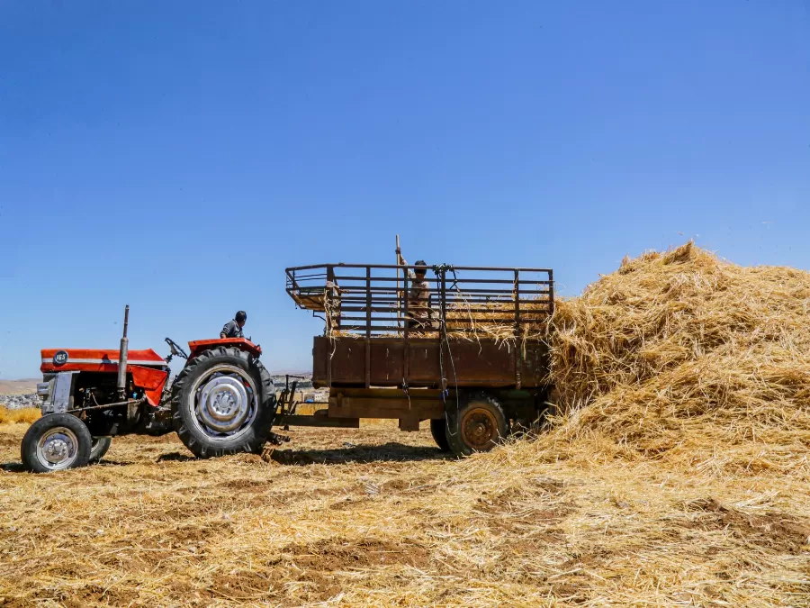 مدار الساعة,أخبار الأردن,اخبار الاردن,بسمة بنت طلال