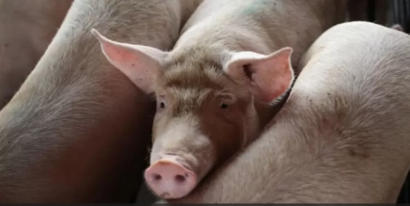 مدار الساعة,أخبار عربية ودولية,وزارة الخارجية