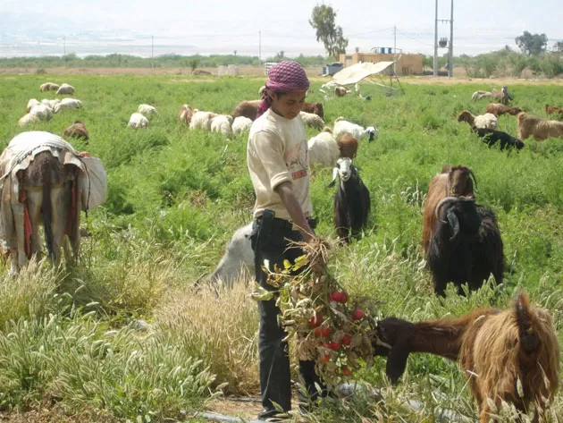 مدار الساعة,أخبار اقتصادية,وزير العمل,رئيس الوزراء,كورونا,وزارة العمل