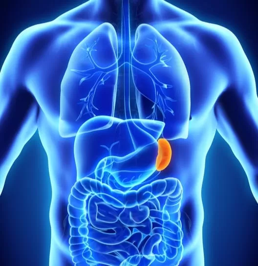 مدار الساعة,أخبار خفيفة ومنوعة