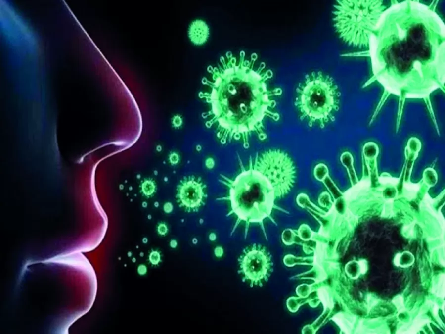 مدار الساعة,أخبار عربية ودولية,كورونا,منظمة الصحة العالمية